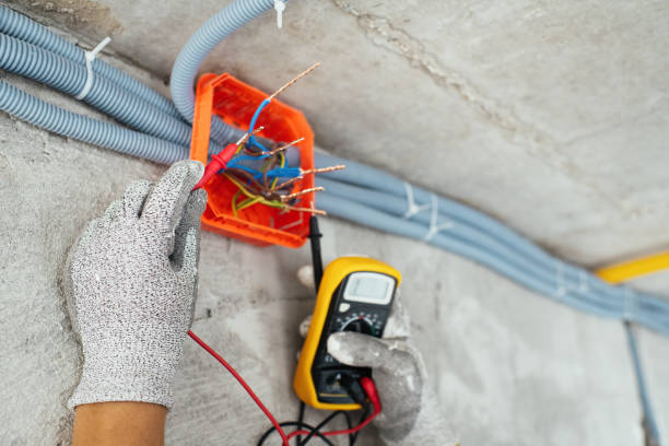 Best Electric Panel Repair  in Romeo, MI